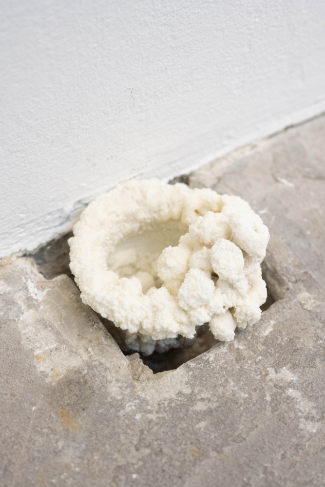 ADAPTER ©Julie Batteux