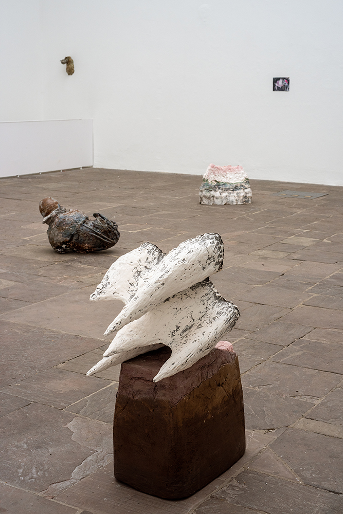 Edith Plattner - Antrisch