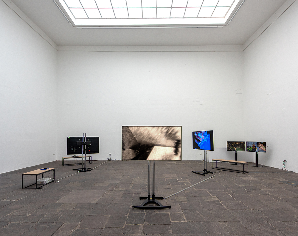 Nadja - Clementine - APHER® - Katja - Sophia - Yuka - Rebecca - Jing