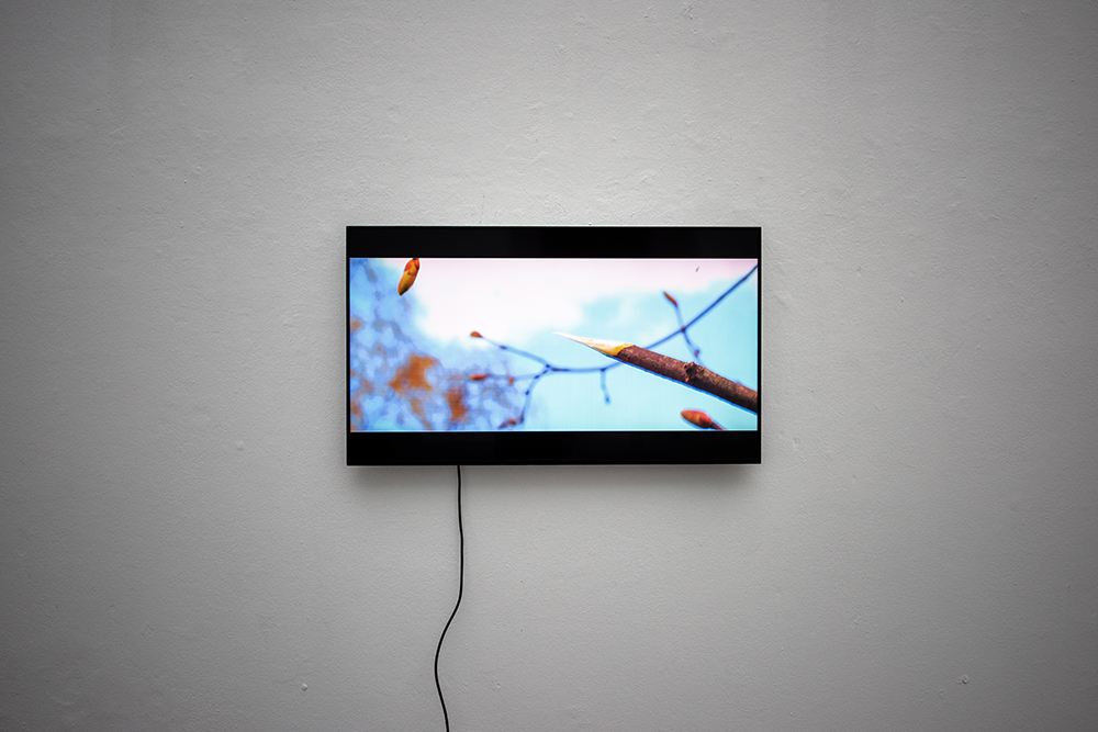 Nadja - Clementine - APHER® - Katja - Sophia - Yuka - Rebecca - Jing