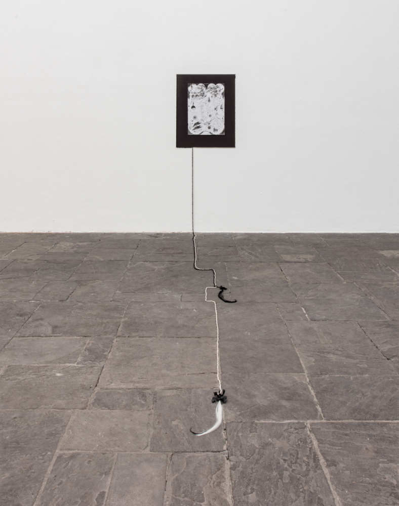 Paulina Nolte - Persimone