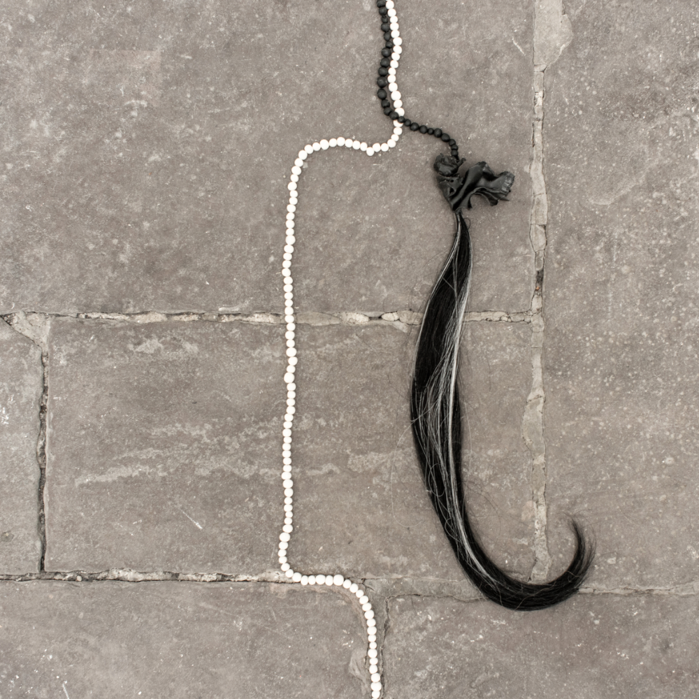 Paulina Nolte - Persimone