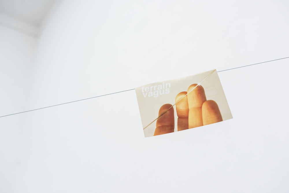 Maria Berauer - Terrain Vagus