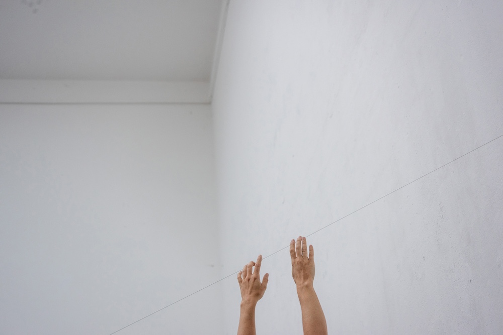 Maria Berauer - Terrain Vagus