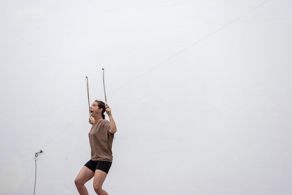 Maria Berauer - Terrain Vagus