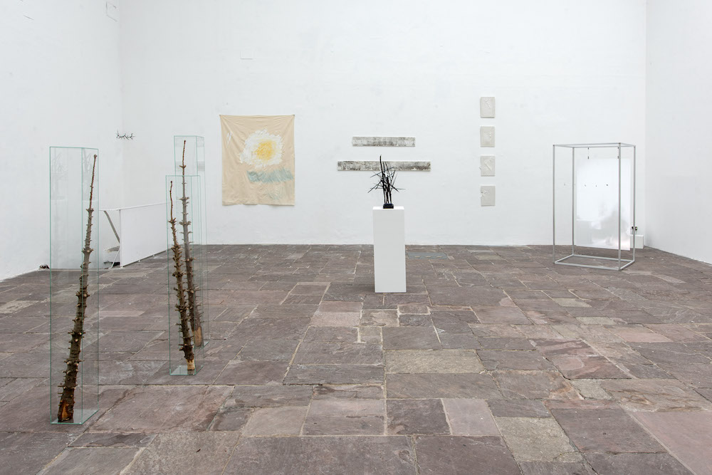 Diagonal - Klasse Pumhösl