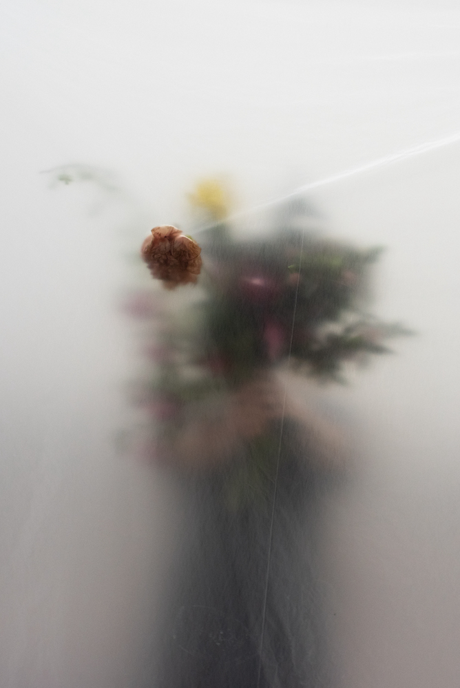 Surprize Me - Zinnure Türe