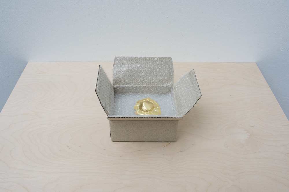 Denn sie wissen nicht, was sie tun - Absolvent*innen der Klasse Susa Mackert