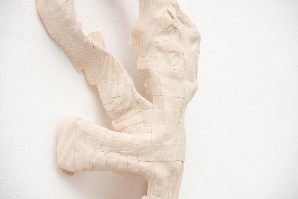 Anna Lena Keller- Konturfedern